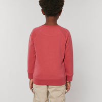Pirates & Pink Sweatshirt (Kids)